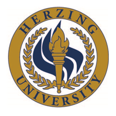 University Partner