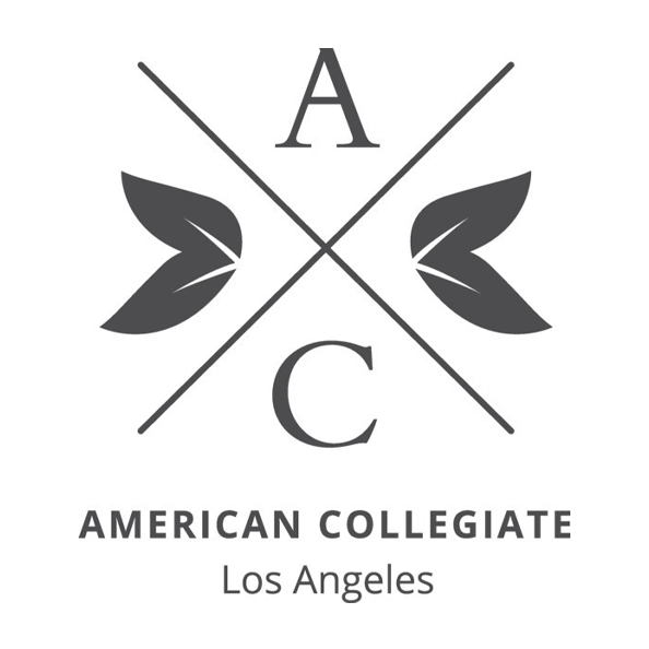 University Partner